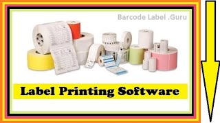 Label Printing Software [upl. by Lyrpa]