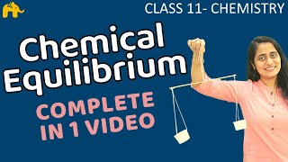 Equilibrium Chemistry Class 11  Chapter 7 Chemical Equilibrium One Shot  CBSE NEET JEE [upl. by Mychael]