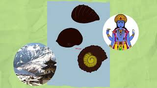 Muktinath Nepal Story of Shaligram  story of TulsiVrinda [upl. by Notwen]