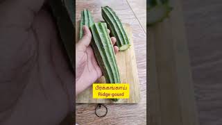 peerkangai ridge gourd recipe in tamil amp English [upl. by Hoeg301]