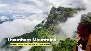 Episode 3  Is This The Most Scenic And Dangerous Road In Tanzania  Liv Kenya [upl. by Aiyram241]