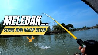 STRIKE ikan kakap putih BESAR [upl. by Letsyrc]