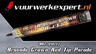 Art940157 Brocade Crown Red Tip Parade VuurwerkExpert [upl. by Rosemaria]