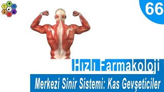 MERKEZİ SİNİR SİSTEMİ KAS GEVŞETİCİLER  Hızlı Farmakoloji 66 [upl. by Aicel]