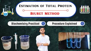 Estimation of Total Protein by Biuret Method  Biochemistry Practical live Demo [upl. by Nicoli83]