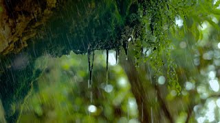 Regen in der Natur Regengeräusche zum Einschlafen 6 Stunden Naturgeräusche in 4K [upl. by Dorina827]