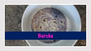 Burcha with Blueberries [upl. by Jonina]