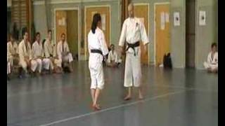 Shorinjikempo technique demonstration [upl. by Dnomayd252]