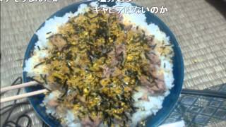 【よっさん】よっさんの久々の三角コーナー丼【ニコ生】 [upl. by Leinahtan]