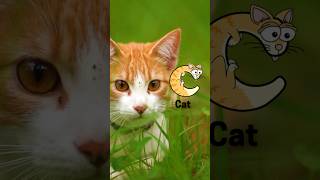 C animals quotC Alphabetimals  Fun A to Z Animal Rhyme for Kids Featuring Letter C Animalsquot [upl. by Nimzzaj]