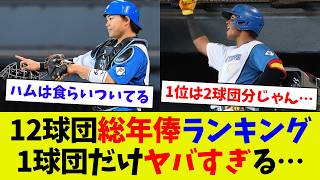 【逆に公平！？】プロ野球12球団別総年俸ランキング！ 1球団だけヤバすぎる… [upl. by Leuqar247]