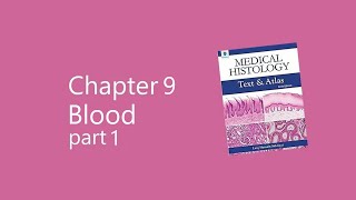 Blood part 1 Laiq Hussain Histology [upl. by Suaeddaht]