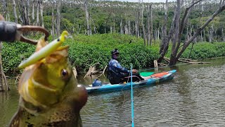 pescaria de traíra e tucunaré na represa do lajeado bonito [upl. by Westmoreland882]