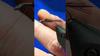 Halfback Nymph Classic Fly Pattern Fly Tying Tutorial [upl. by Silevi481]