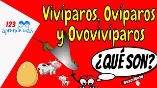 Animales VIVÍPAROS OVÍPAROS Y OVOVIVÍPAROS para niños de primaria [upl. by Nosreh]