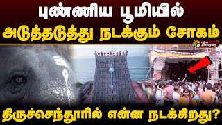 புண்ணிய பூமியில் அடுத்தடுத்து நடக்கும் சோகம் என்ன நடக்கிறது திருச்செந்தூரில்  Thiruchendur  PTD [upl. by Niarb]