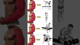 Arms Cardio with Dumbbell Workout Muscle [upl. by Bocock]