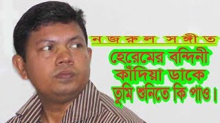 হেরেমের বন্দিনী কাঁদিয়া ডাকে  আব্দুর রউফ  কাজি নজরুল ইসলাম [upl. by Onia827]