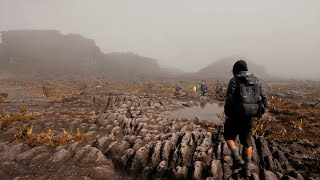 What I found on the top of Mount Roraima [upl. by Landbert237]