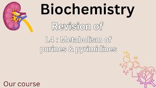 revision of L4bio  Metabolism of purines amp pyrimidines renal 42 [upl. by Ximenez]