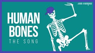 THE HUMAN BONES SONG  Science Music Video [upl. by Nuj]