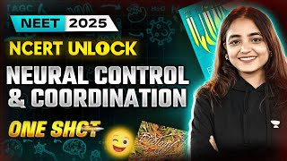 Neural Control and Coordination class 11 One Shot  NEET 2025  Apeksha Singh neet2025 [upl. by Neelyaj]