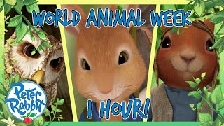 OfficialPeterRabbit  🍿🐰 1 Hour Animal Week Special 🎥🐿️  Cartoons for Kids [upl. by Laamaj]