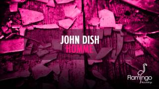 John Dish  Homme Flamingo Recordings [upl. by Notffilc612]