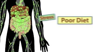 The 3 Rules of Enzymes [upl. by Saihtam797]