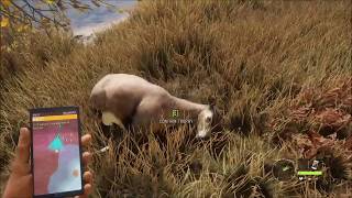 Harvest 2 blacktail deer in Balmont COTW [upl. by Brodsky733]