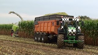 Mais Hakselen 2018  Jean Stassart  Claas Jaguar 970  John Deere 7250R  6195R  Dezeure [upl. by Danby]