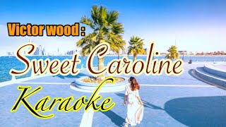 Sweet Carolinebest ofVictor Woodkaraoke channel [upl. by Odom]