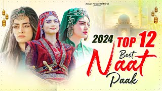 Naat Sharif  2024 Naat Sharif  New Naat Sharif  Beautiful Naat Sharif 2024  Heart Touching Naat [upl. by Rox]