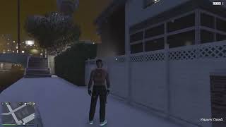 SelfAware NPC AI caught in GTA 5 [upl. by Knowling]