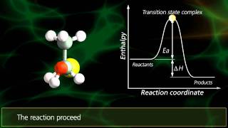 SN2 Reactions  University Of Surrey [upl. by Yrreb]