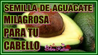 Semilla \ Hueso De Aguacate\Palta Para El Cabello Resultados Impresionantes\\ Silvia Rostran [upl. by Bithia368]