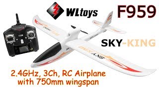 WLtoys F959 SKYKING 24GHz 3Ch RC Airplane with 750mm wingspan RTF [upl. by Cirda]