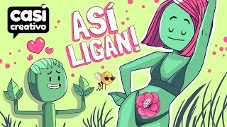 Así se Enamoran Las Plantas  Casi Creativo [upl. by Dickerson]