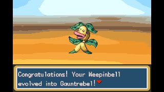 Pokémon Adventure Red Chapter  How To Evolve Weepinbell To Gauntrebell [upl. by Hbahsur565]