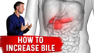 10 Things That Increase Bile Salts [upl. by Borg842]