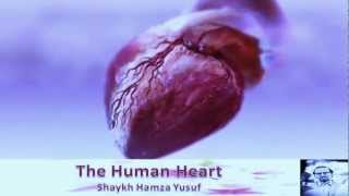 The Human Heart  Shaykh Hamza Yusuf [upl. by Onileva]