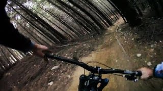 Sam Blenkinsop  Queenstown Bike Park POV  Armageddon [upl. by Aicxela764]