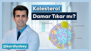 LDL Kolesterol Nedir LDL Kolesterol Damarları Tıkar mı [upl. by Kopple]