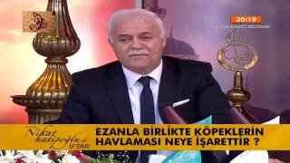 Ezanla Birlikte Köpeklerin Havlaması Neye İşarettir [upl. by Rawden]