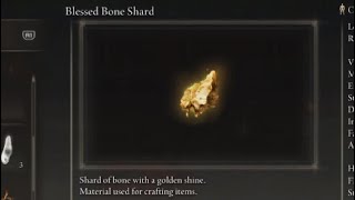 Elden Ring DLC Blessed Bone Shard Farming Location Fort of Reprimand [upl. by Deuno]