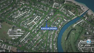 Kailua Road contraflowed due to tree removal [upl. by Halyahs274]