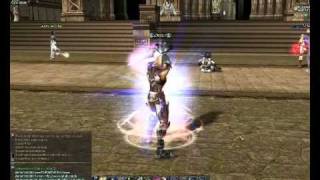 Metin 2 vs Lineage 2 [upl. by Licko936]