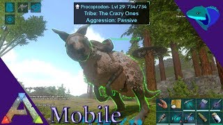 TAMING A PROCOPTODON JUMPING AND KNOCKBACK Ark Mobile S1E39 [upl. by Symons]