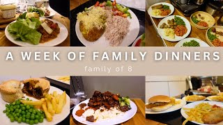 WEEK 69 FAMILY DINNERS OF THE WEEK  family of eight evening meal ideas meal plan🍝🥙 [upl. by Nevur]