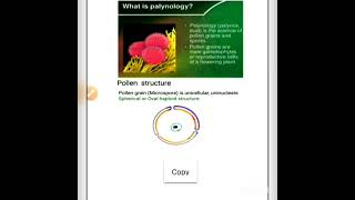 palynology  pollen morphology structure [upl. by Lesly]